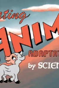 Шатёр чародея