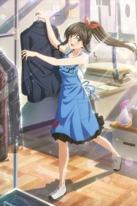 Постер Можете ли вы постирать это ради меня?